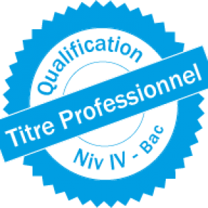 Titre professionnel infographiste metteur en page MULTIMEDIA - PAO - WEB