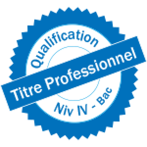 Titre Professionnel Infgraphiste Metteur en Page